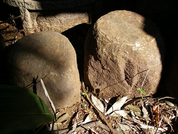 Stacks Image 1412